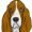 braveheartbassets.com